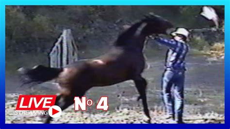 Dar Cuerda A Un Caballo Manejo Natural Del Caballo En Vivo 4ª