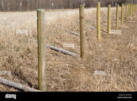 rural fence posts stock photo alamy