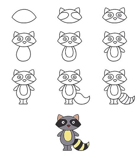 How To Draw A Raccoon Idea 15 Step By Step Drawing Photos