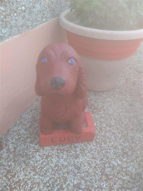 Usul why does the dogs food smell like cinnamon?? | Scrolller