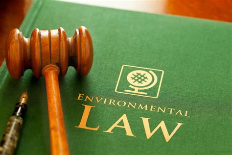 Areas Of Law What Area Of Law Should You Practice