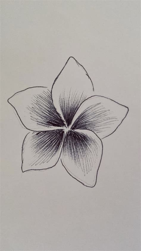spruch bilder simple easy  drawings  beginners