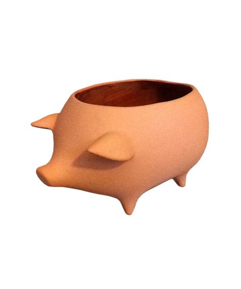 So Friggin Cute A Terra Cotta Piggy Planter Apartment Garden