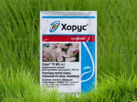 Фунгицид Хорус: инструкция по применению для винограда, яблони ...