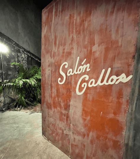 Merida Nightlife Mgt Merida Gay Tours