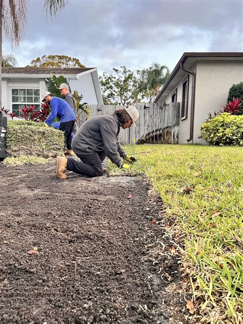 Sod Installation in Bradenton, FL • Sunrise Sod Services