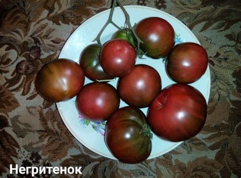 Томат Негритенок: описание, фото, отзывы
