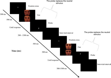 Frontiers The Neuro Cognitive Mechanisms Behind Attention Bias