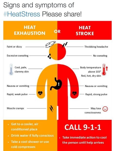 How high can internal temperature of the human body temperature go ...