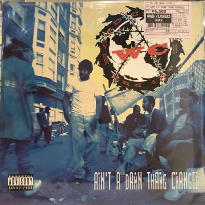 aint  damn thang changed wc  madd circle hmvbooks