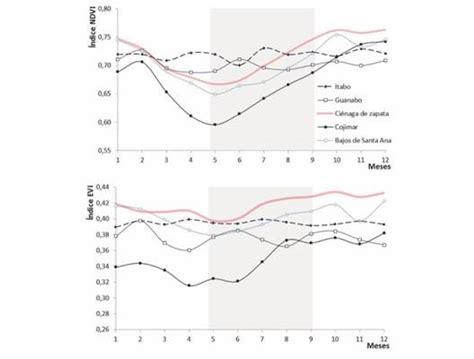 Variación espacio temporal de la respuesta espectral en manglares de La