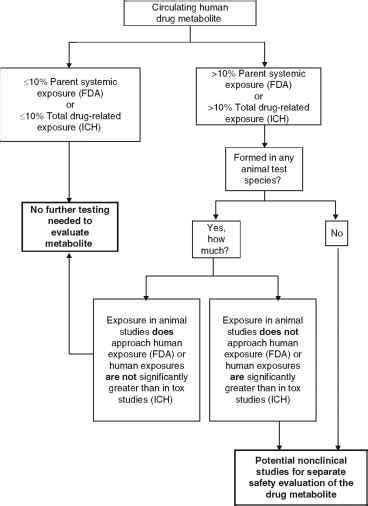 Metabolites in Safety Testing Guidance - Drug Metabolism