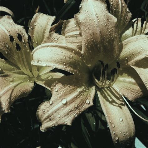 Masterlist Billie Eilish The Florentinas For You Fics Wish You Were Gay Context