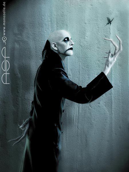 ASP discography (top albums) and reviews