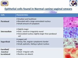 Vaginal Exfoliative Cytology PPT