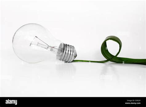 Eco light bulb concept Stock Photo - Alamy