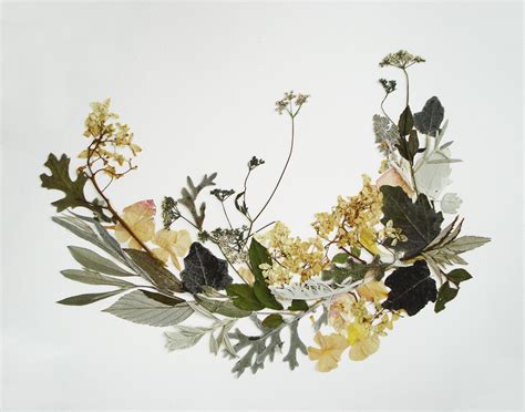 Set Of 8 Botanical Artworks Naturalness On Behance