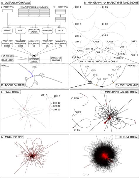 The Complete Pangenome Construction Scheme And Visualization A The