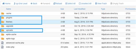 wordpress internal structure explained  beginners wpvivid