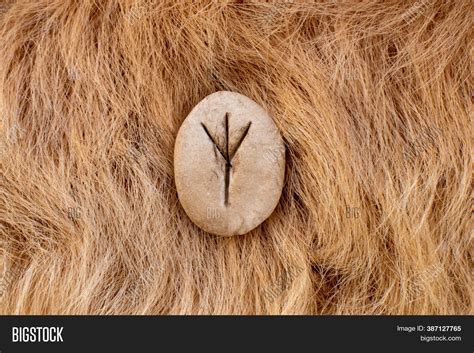 Algiz Nordic Stone Image And Photo Free Trial Bigstock