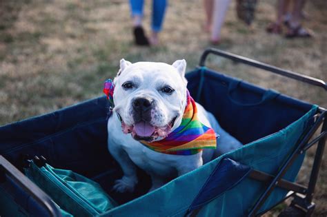 Sucking Huge Gay Twink Cock Daseused