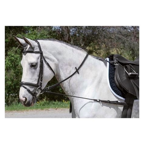 Sensors will soon be added to Reins 8