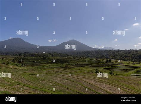 Breathtaking Landscapes Of The Unesco Rice Terraces In Jatiluwih Bali