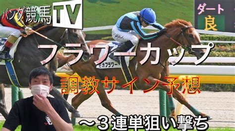 【フラワーカップ】2022 調教サイン予想〜パンダ競馬tv Youtube