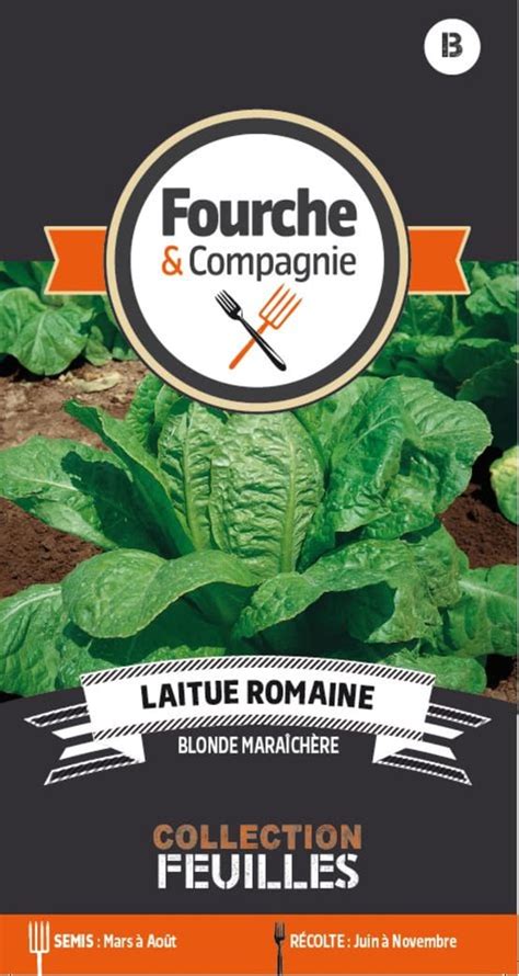 Graines De Laitue Romaine Blonde Maraich Re Gamm Vert