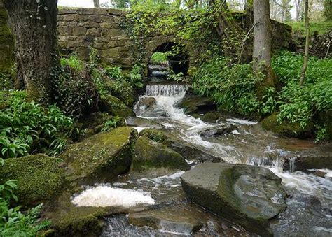 The Babbling Brook Water Sources Serenity Float Grass Waterfall