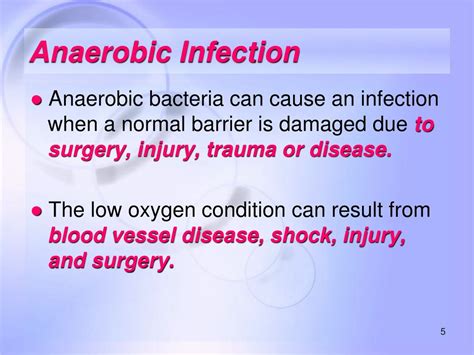 Ppt Anaerobic Bacteria Gram Negative Anaerobic Rods And Anaerobic Cocci