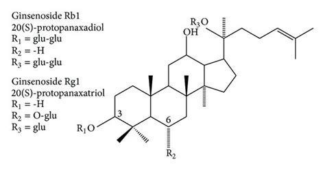 Structures Of Ginsenosides Rb1 And Rg1 Based On The Chemical