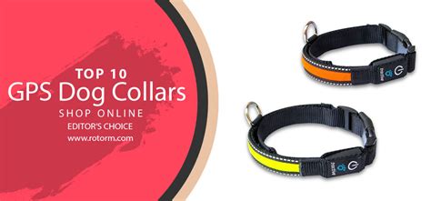 Best Gps Dog Collars 2023 Top 10 Gps Dog Collar Editors Choice