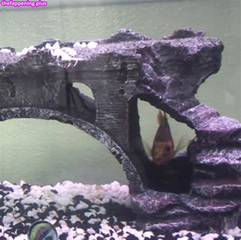 Tiffany Tyler TiffanyTylerXxX Fishiebug Nude OnlyFans Photo 124 The Fappening Plus