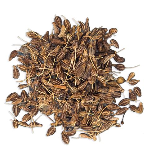Aniseed | JustIngredients