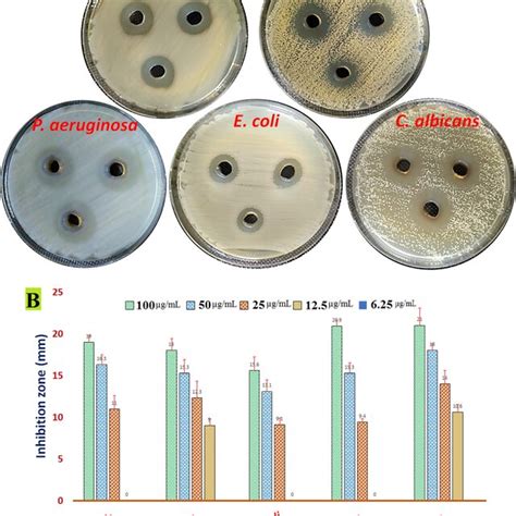 Antimicrobial Activity Of Agnps A Agar Well Diffusion Method At