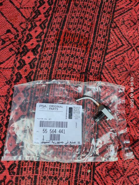 55564441 Масляная форсунка двигателя GM | Запчасти на DRIVE2