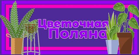 Комнатные растения • Объявления • Киров | Цветочная Поляна •. Доска ...
