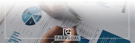 financial consulting services paragoal company