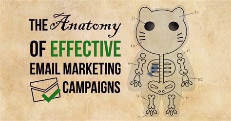 The Anatomy Of Effective Email Marketing Campaigns