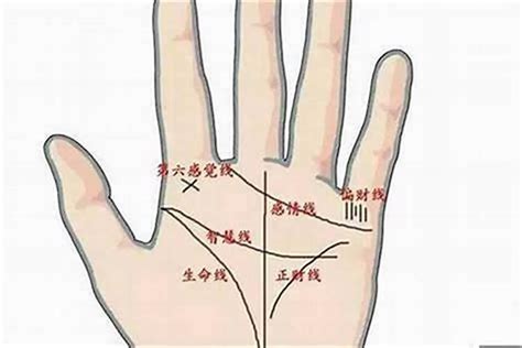 有财富的手纹，手掌有财运和财富纹线手相 补财库 泰岁易学