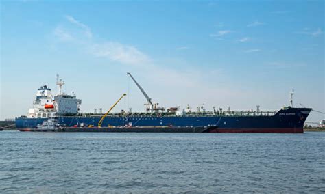 elefsis stock  pictures royalty  images istock