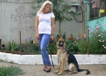 Шпиц в Саратове с родословной купить щенка декоративной собаки ...