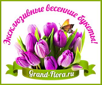 chto-za-zelen.ru - Зеленый Континент. Круглосуточная доставка букетов и ...