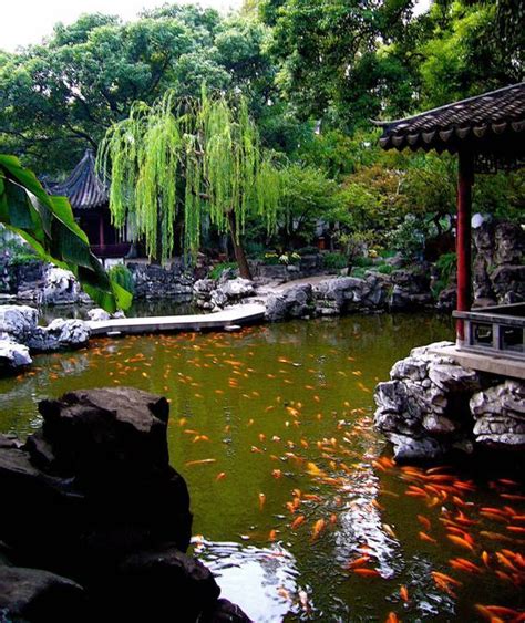 Elegant Chinese Garden Design Inspirations for Beautiful Backyard Designs