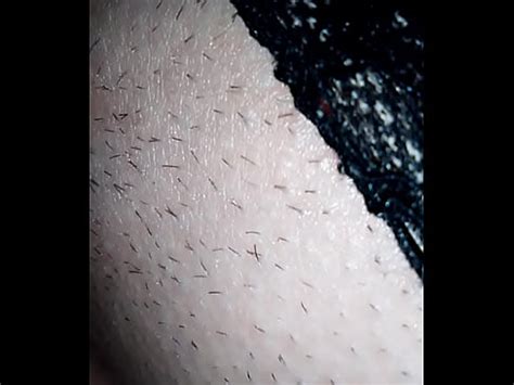 VID 20170830 035803 XVIDEOS