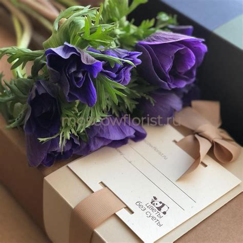 Заказать доставку цветов в Москве онлайн - MF