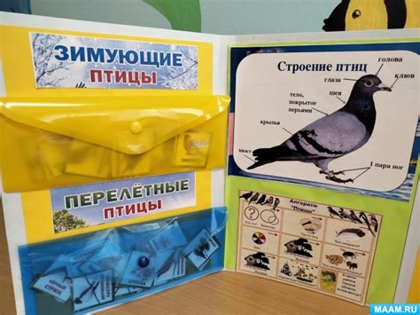 Лэпбук «Птицы». Дидактическое пособие для старших дошкольников (5 фото ...