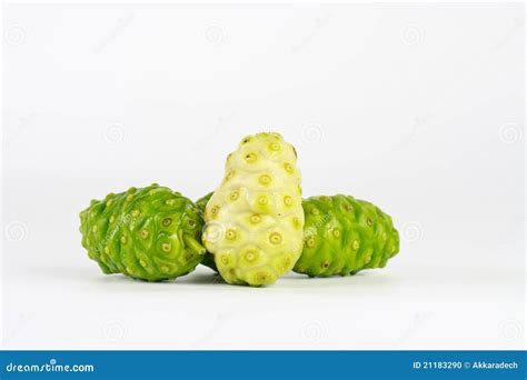 Noni stock photo. Image of nutrients, plant, supplement - 21183290