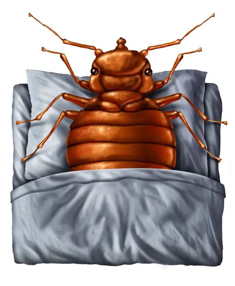 15 DIY Bed Bug Heaters - ihavebedbugs.com